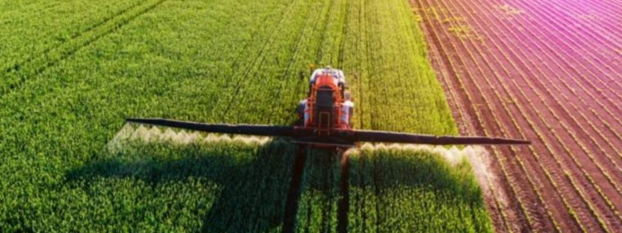 importaciones-de-alimentos-slider