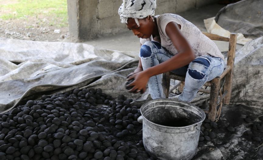 La demanda de carbón en Haití: insostenible para RD 2020
